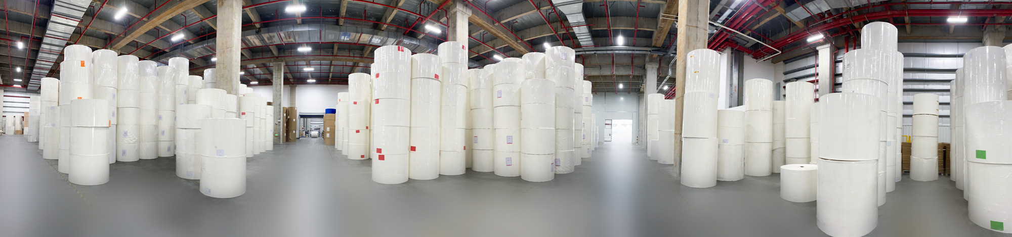 Company Info Storage2