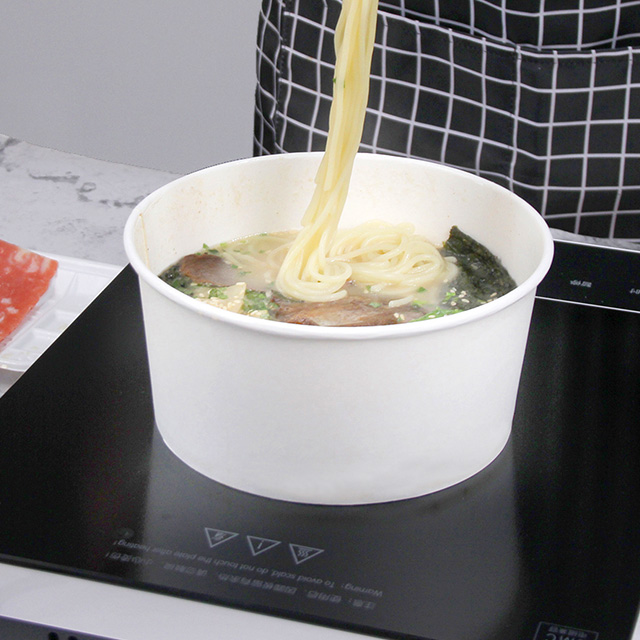 Induction Cooker Use Paper1